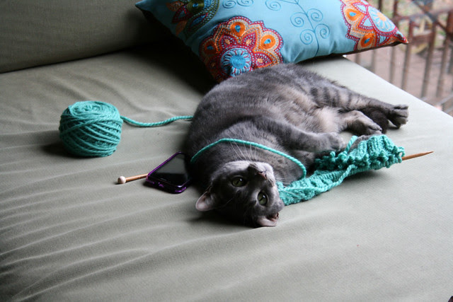 kniting_terror.jpg