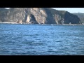 [最も選択された] ボラ 産卵 133991-ボラ 産卵数