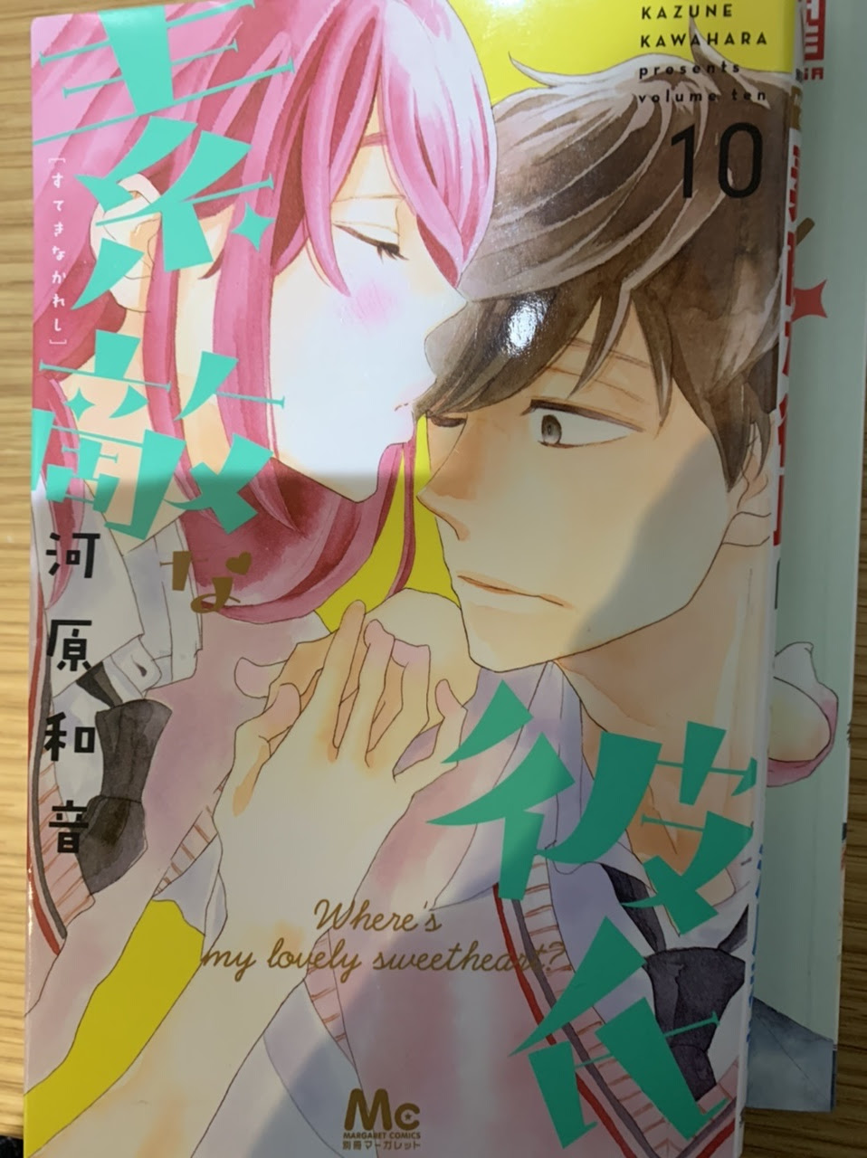 Ein Freund Zum Verlieben 河原和音 素敵な彼氏 ドイツ語版 第1巻 プログラマが主に少女漫画を語る