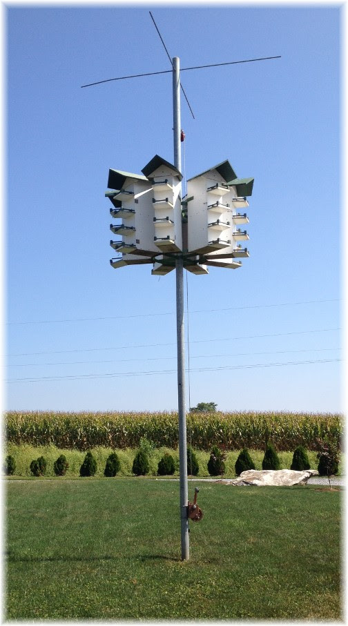 Purple Martin bird house near New Holland, PA 9/4/14