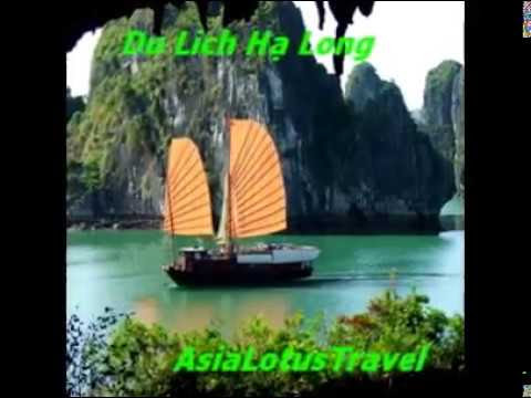 Hợp tác cùng cty Hoa Sen Châu Á