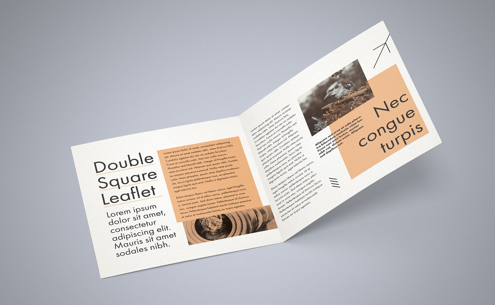 Download Free Square Bi-Fold Brochure Mockup PSD - Good Mockups