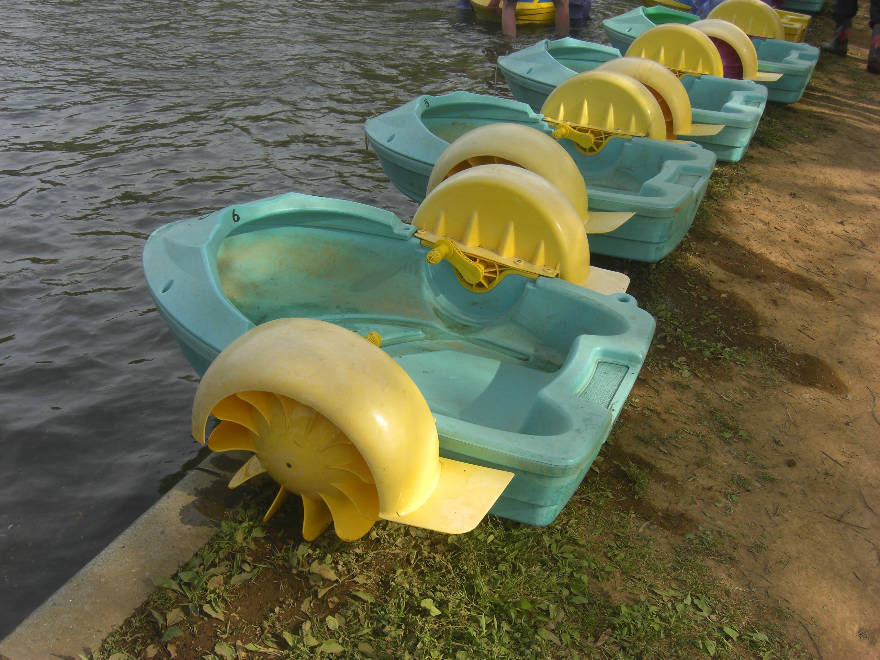 茨城日帰りドライブ 子供 ペット家族向け 江戸崎農業公園 ポティロンの森 関東茨城県 関東東京遊び場日帰りドライブマップ 家族子供 のお出かけスポット