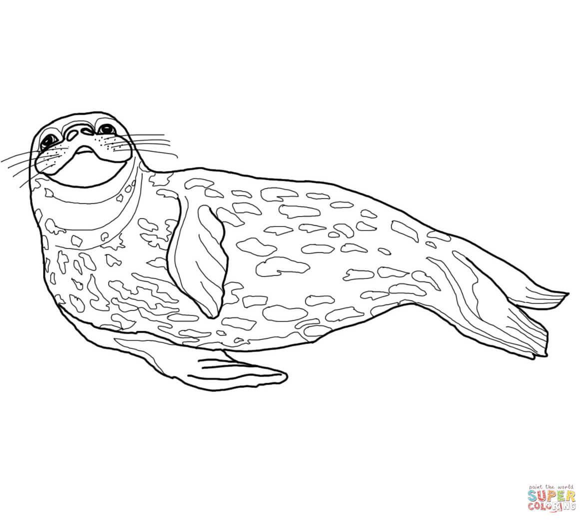 the Weddell Seal coloring pages to view printable