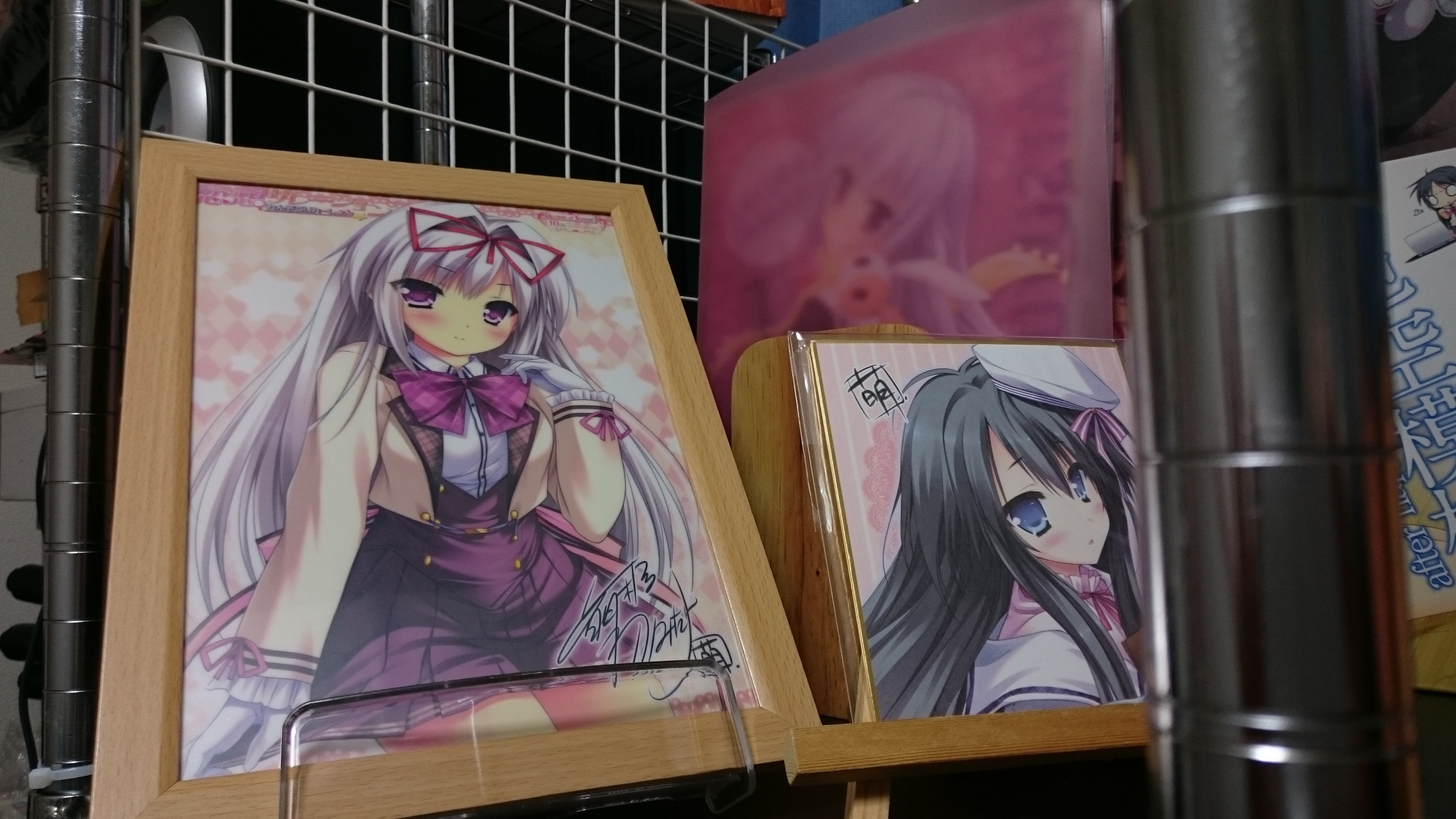 メタルラックに網を付けて オタクがアニメや二次元系のグッズを飾る 痛部屋改造 機械は友達 二次元は恋人 まったりオタク系ライフblog