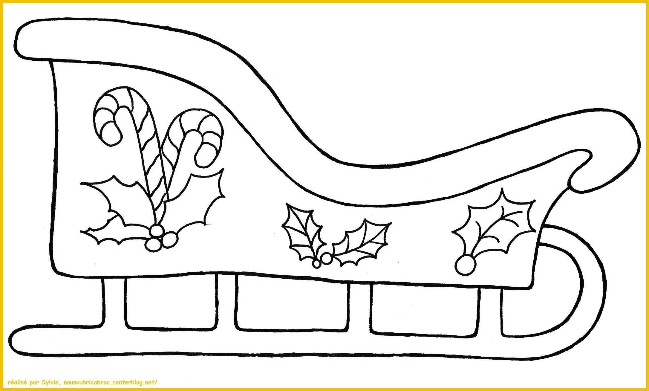 Luge