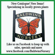  photo baldwin13.jpg