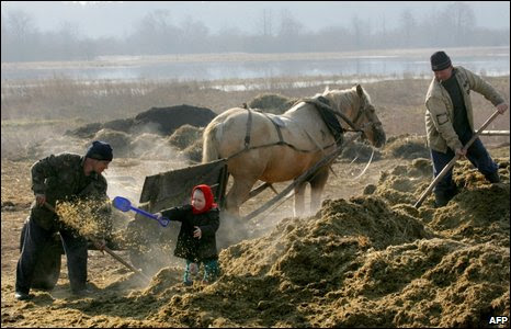 Workers and a child at a farm in Belarus.