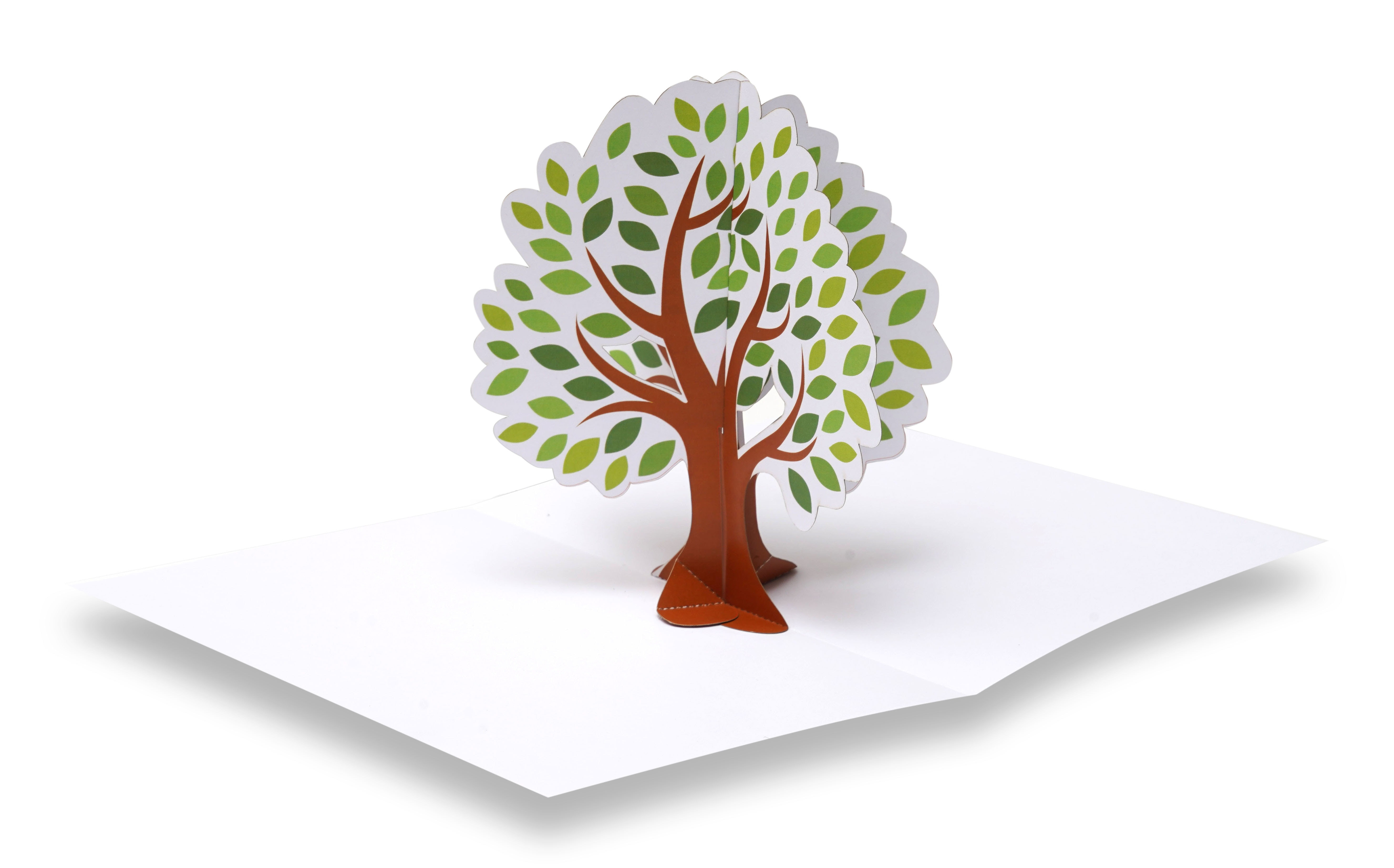 Carte Fleur Et Cartes 3d Arbre L Arbre Et La Fleur Se Redresse A L Ouverture De La Carte