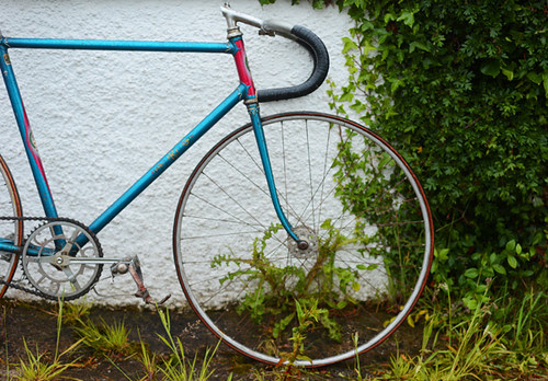 JRJ Grass Track Racer