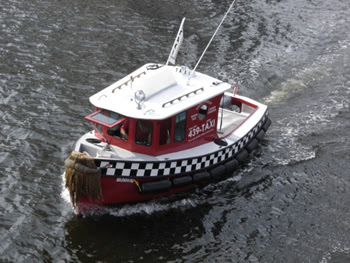 Motor Boats 16' to 20'