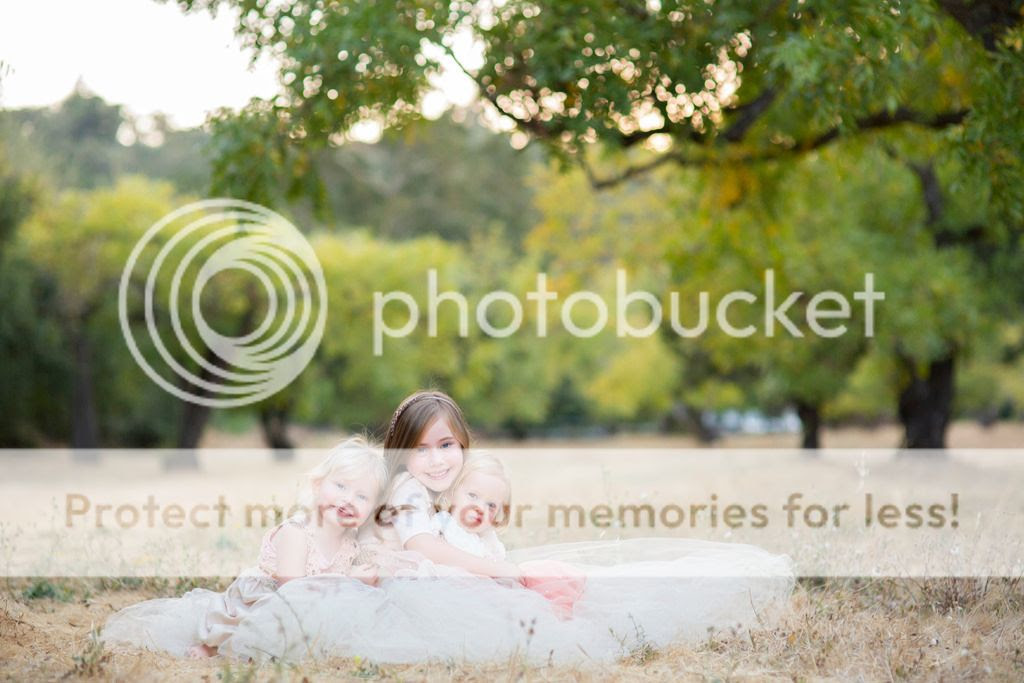  photo 120160916-39_zpsgzlggrv1.jpg