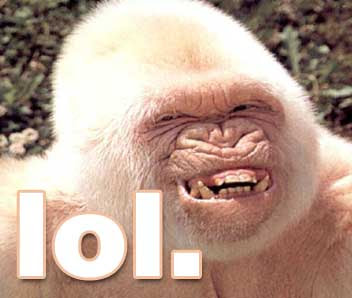 funny pictures lol Myspace Freindster Roftl Comments