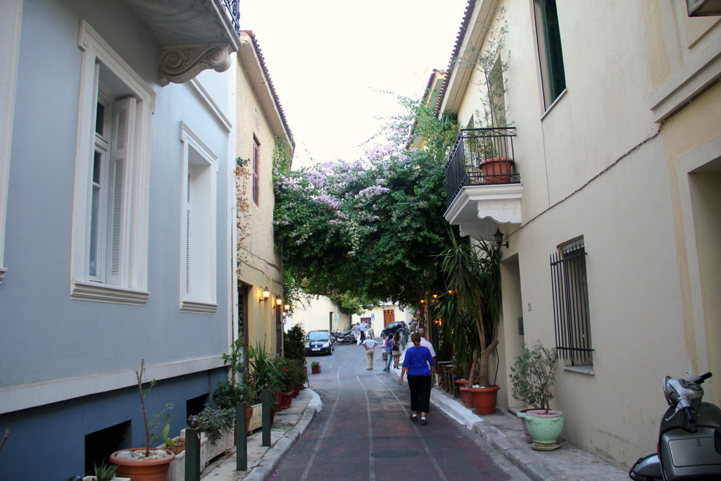 IMG_5610 IMG_5610