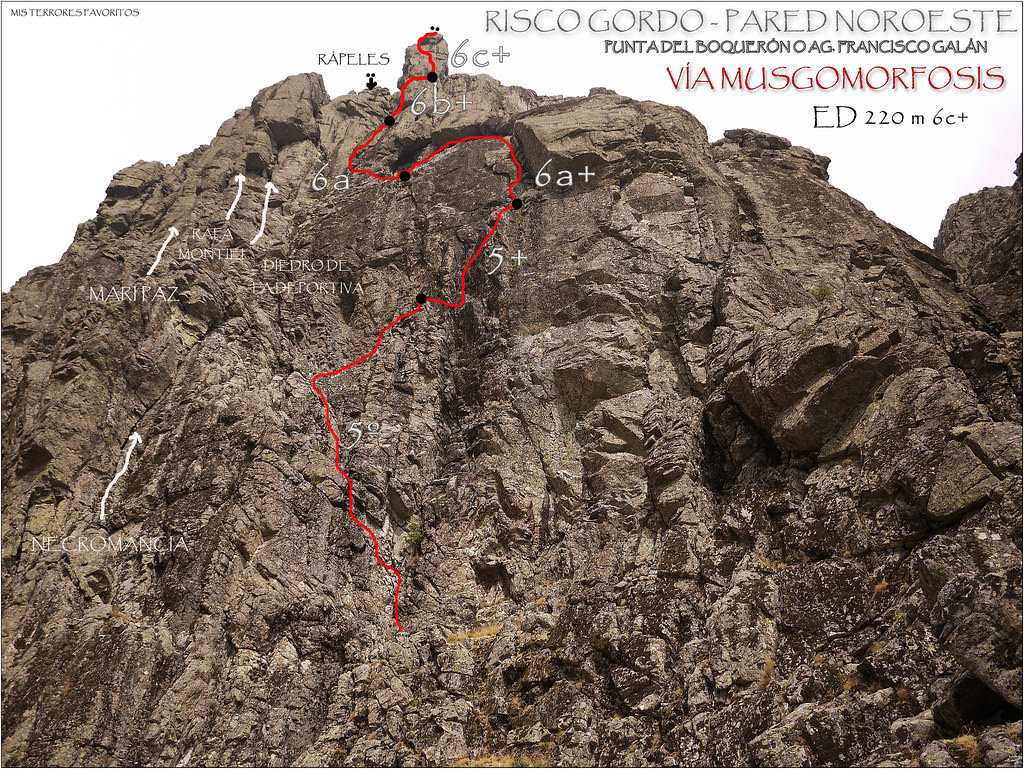 CROQUIS VÍA MUSGOMORFOSIS ED 220 m 6c+ - Aguja Fco.Galán - Pared Noroeste de Risco Gordo - Villarejo