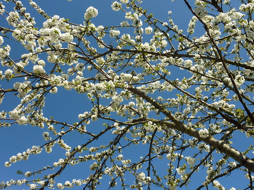 Spring!