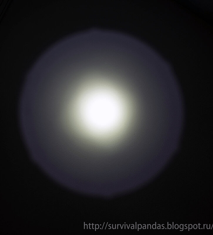 DSC00749.jpg