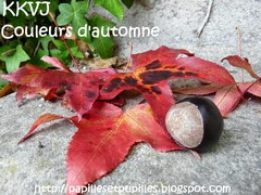 KKVJ - Couleurs d'automne