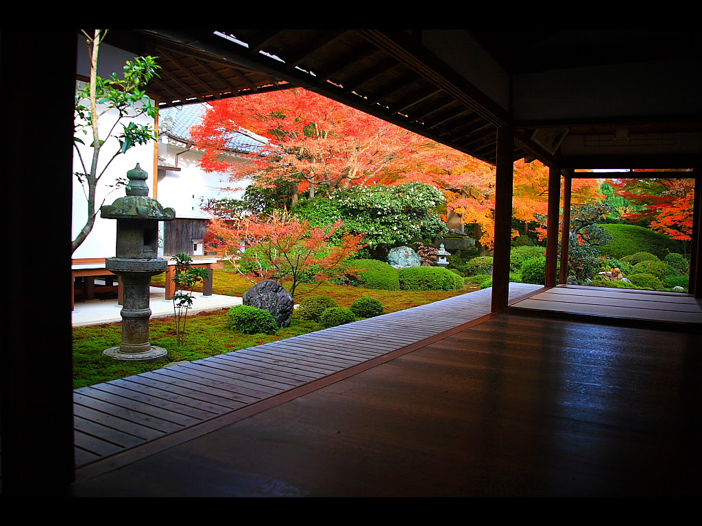 源光庵書院から見る枯山水庭園紅葉