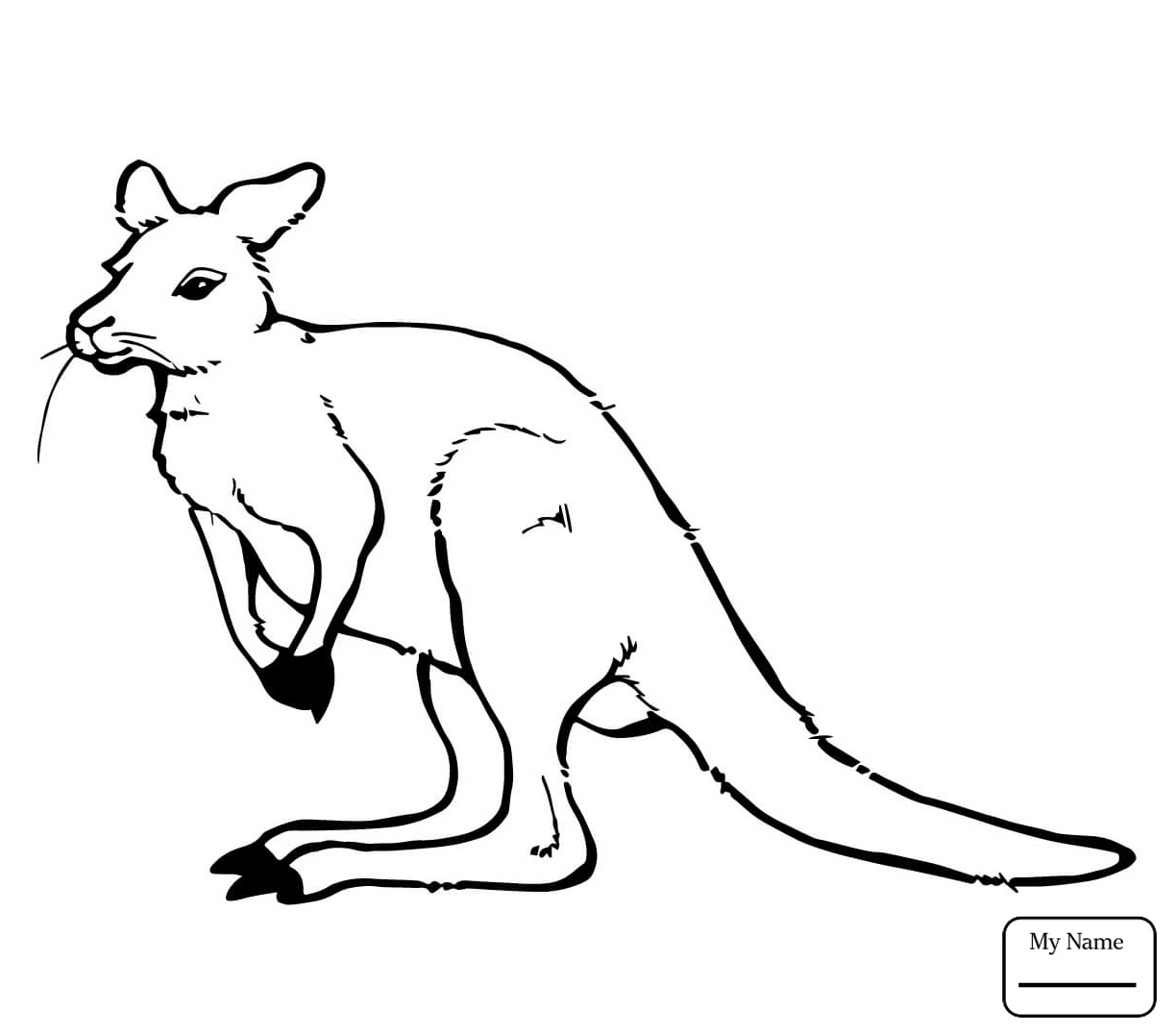 Download Kangaroo Coloring Page | Free download on ClipArtMag