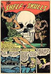 Voodoo 01 - 03 The Shelf of Skulls - Matt Baker