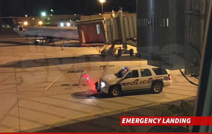 1226-jamie-dukes-emergency-landing-TMZSPORTS-01