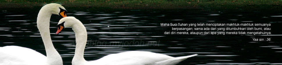 Tentang Qada' & Qadar  myJodoh WebBlog