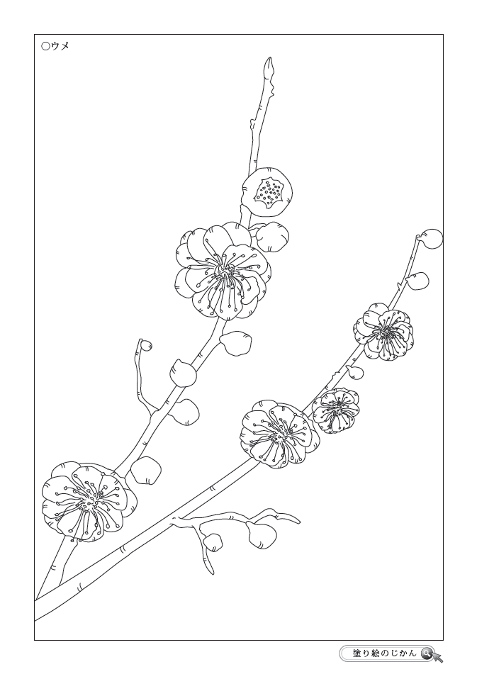 2月の花ぬりえ 塗り絵のじかん