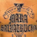  Free Reading This Is for the Mara Salvatrucha: Inside the MS-13, America's Most Violent Gang 1401323243 PDF Ebook online