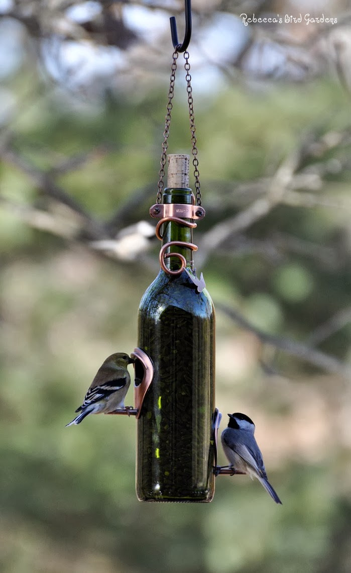 Wonderful DIY Beautiful Teacup Bird feeder