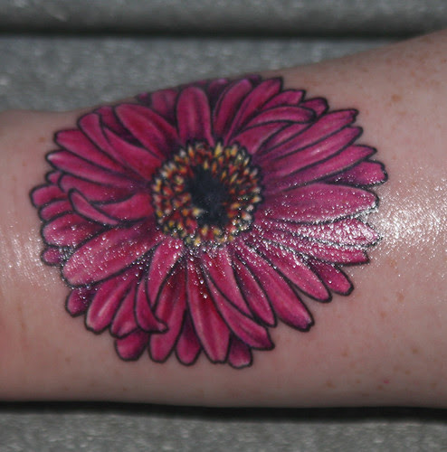 Gerbera Daisy Wrist.