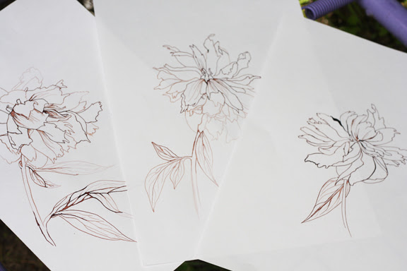 drawings peony
