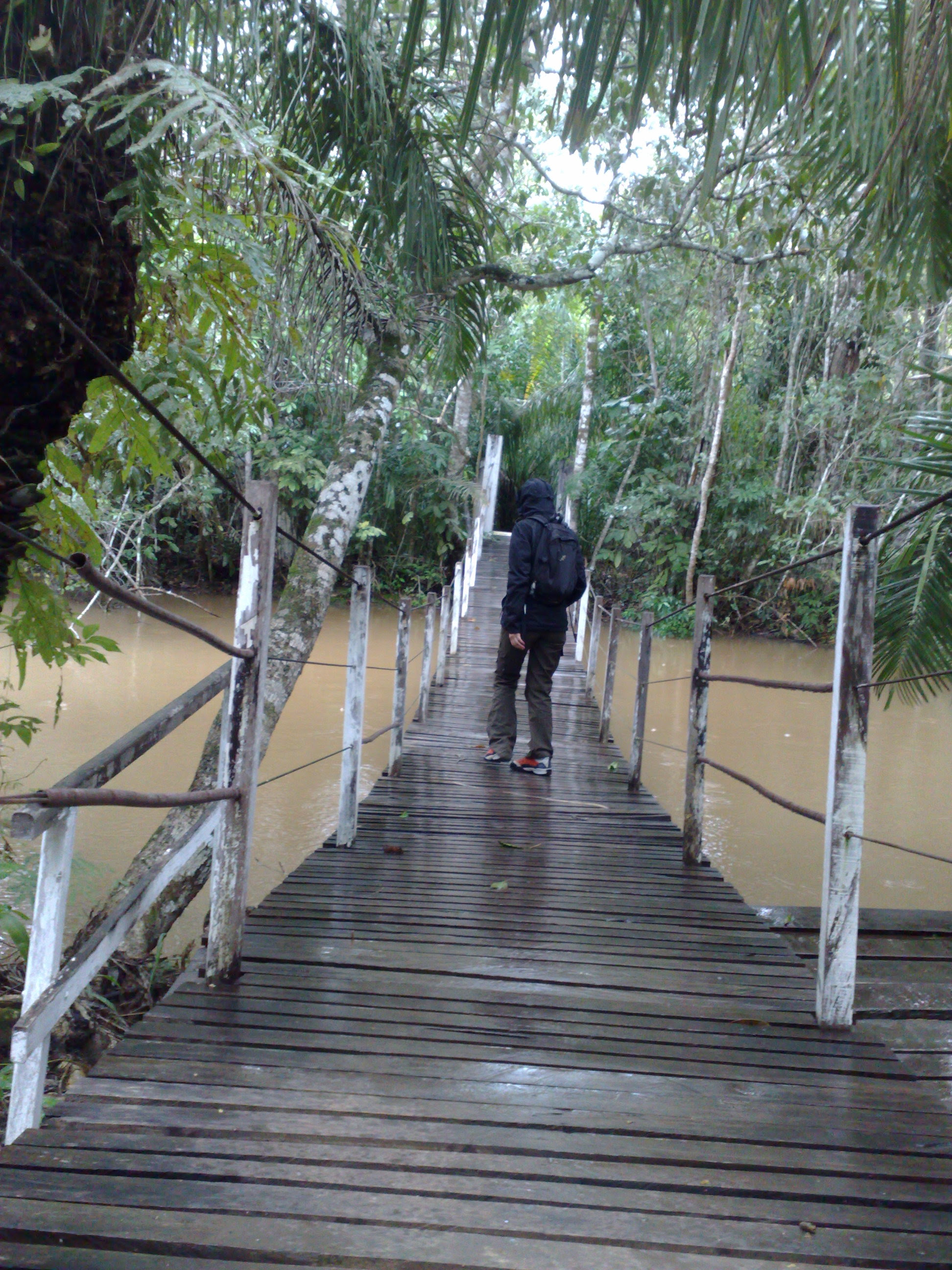 24072009468.jpg