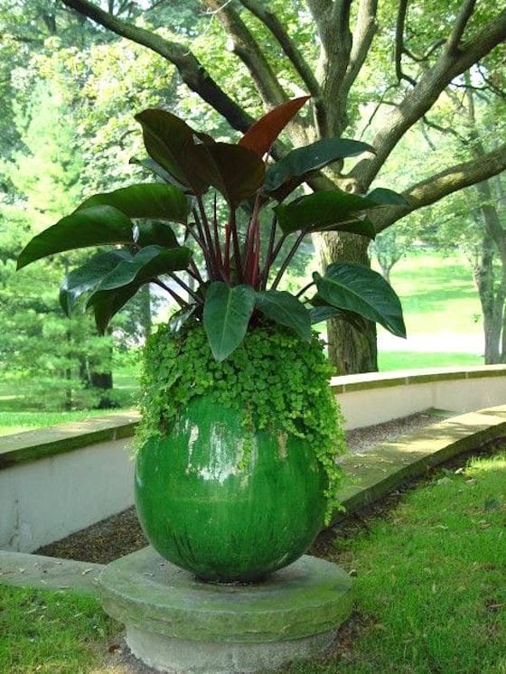 Gorgeous Statement Planters 1010 Park Place