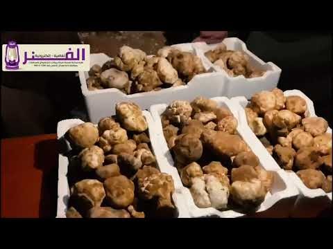 الفقع