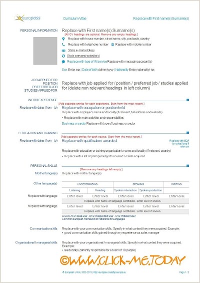 Europass Cv Pdf Template