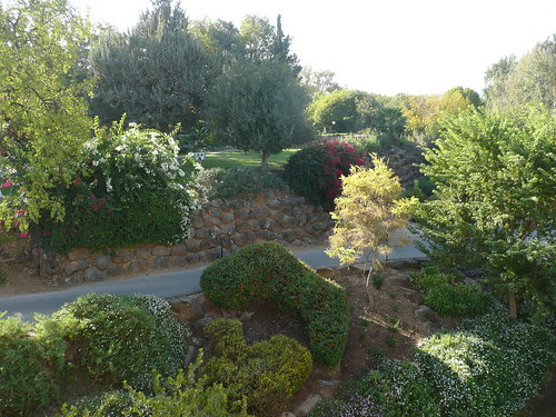 Hagorshim Kibbutz