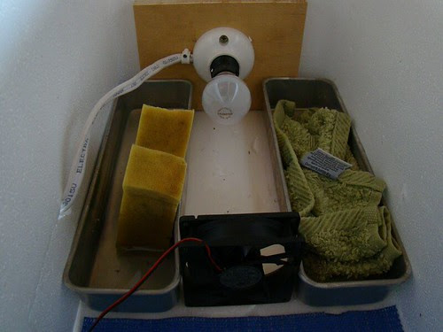 The important bits The important bits