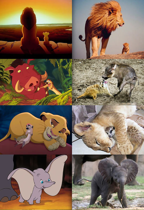 実写も可愛い ディズニー映画の動物キャラクター比較写真 Plum Heart