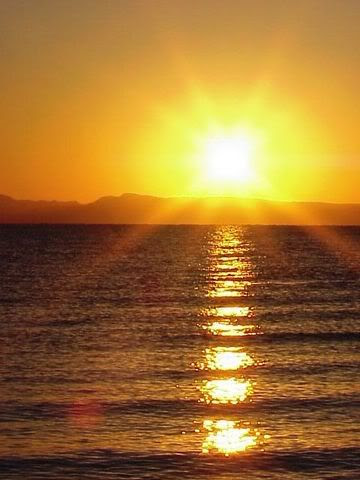 The Sun Also Rising