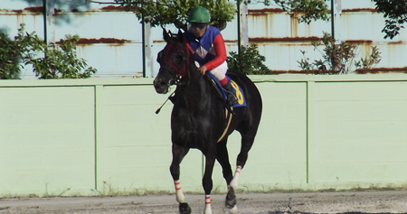 第9回秋桜賞はケンブリッジナイス初載冠 旅鉄競馬