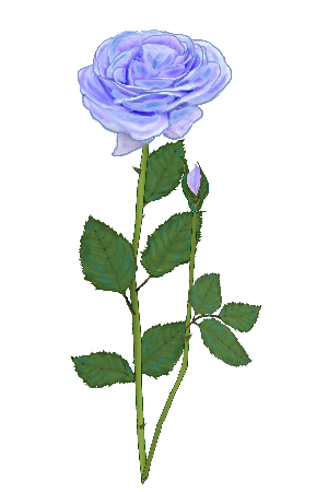 薔薇 バラ 赤 ピンク 黄色 青 秋のイラスト素材 無料テンプレート
