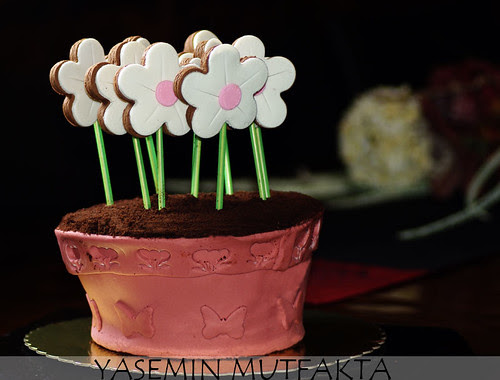 Saksıda Çiçekler Pastası
