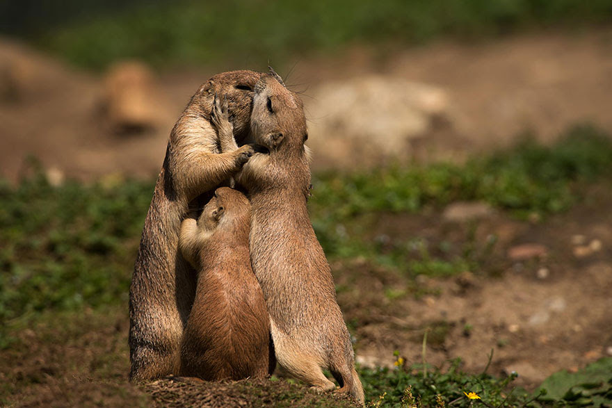 Family Portrait