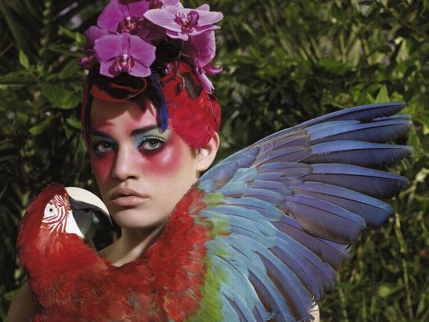 Aves del Paraíso es un libro