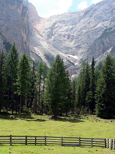 Grünwaldtal