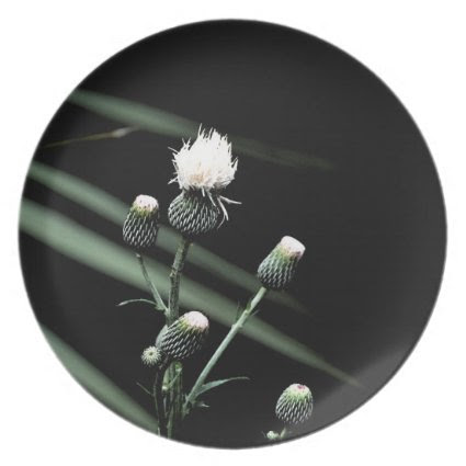 florida wildflower white bud dark back dinner plates
