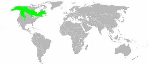 Canadian Lynx range