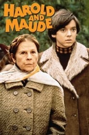 Harold et Maude blu ray le film complet fr 1971