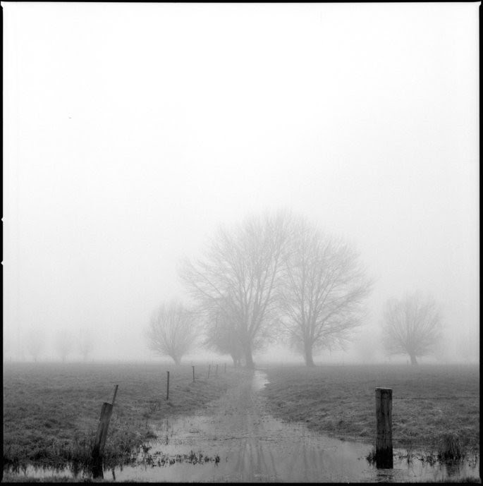nebel